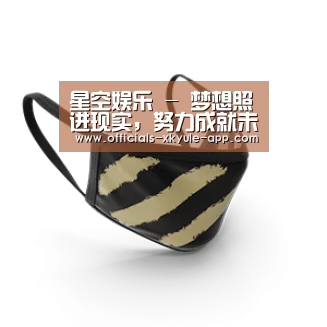 成人布口罩