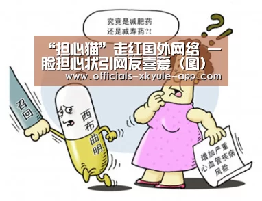 星空娱乐下载