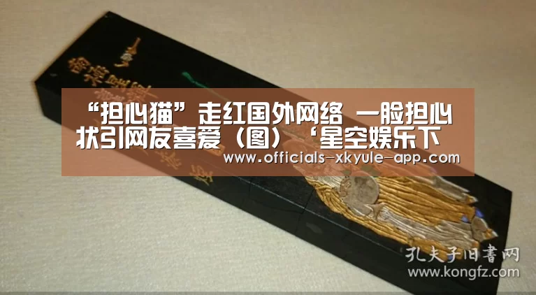 星空娱乐