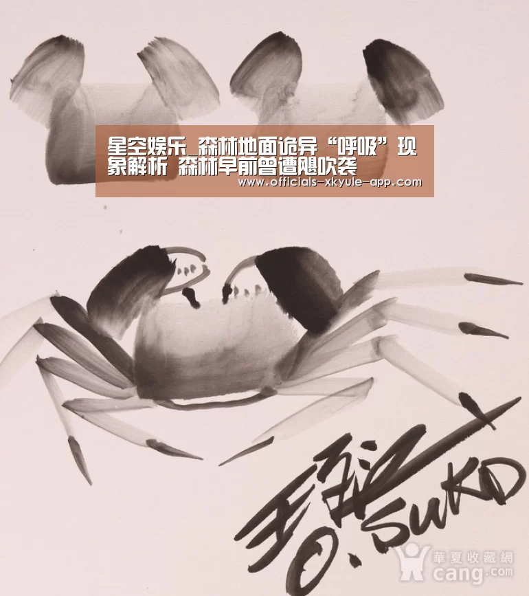 星空娱乐app