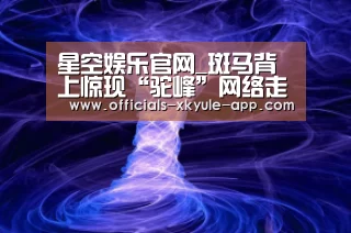星空娱乐app