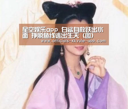星空娱乐app_白鲨自救跃出水面 挣脱鱼线逃出生天（图）