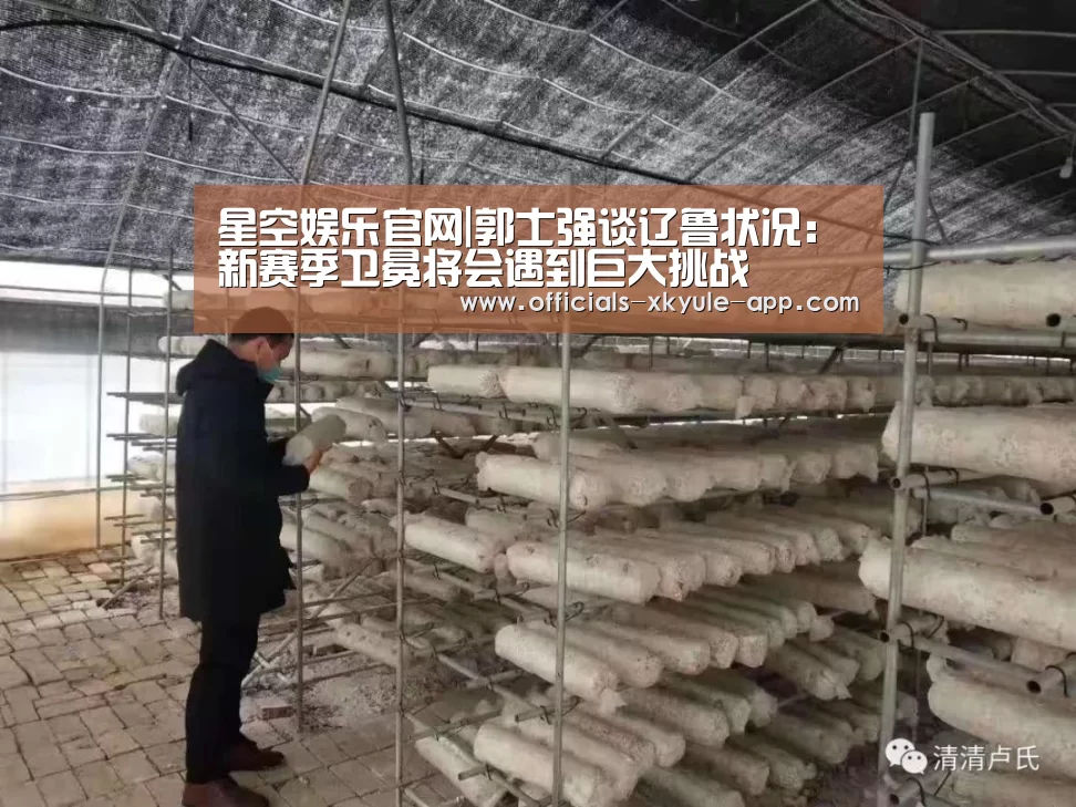 星空娱乐