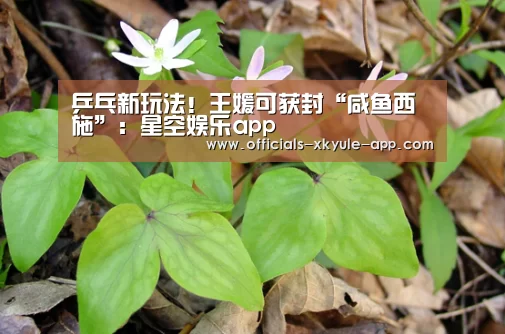 乒乓新玩法！王媛可获封“咸鱼西施”：星空娱乐app