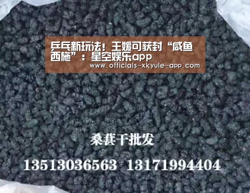星空娱乐下载