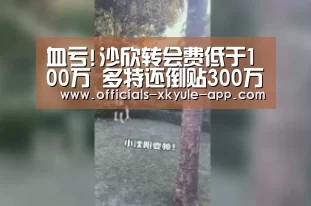 血亏!沙欣转会费低于100万 多特还倒贴300万欧年薪-星空娱乐下载